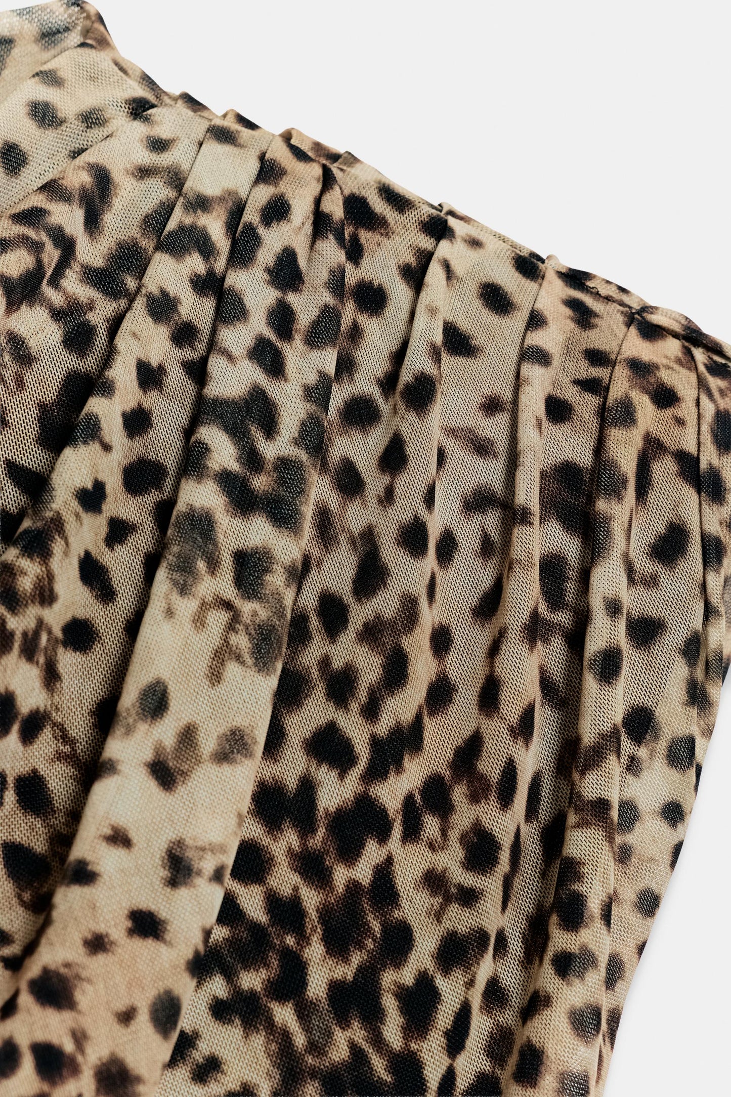 #130702, Leopard