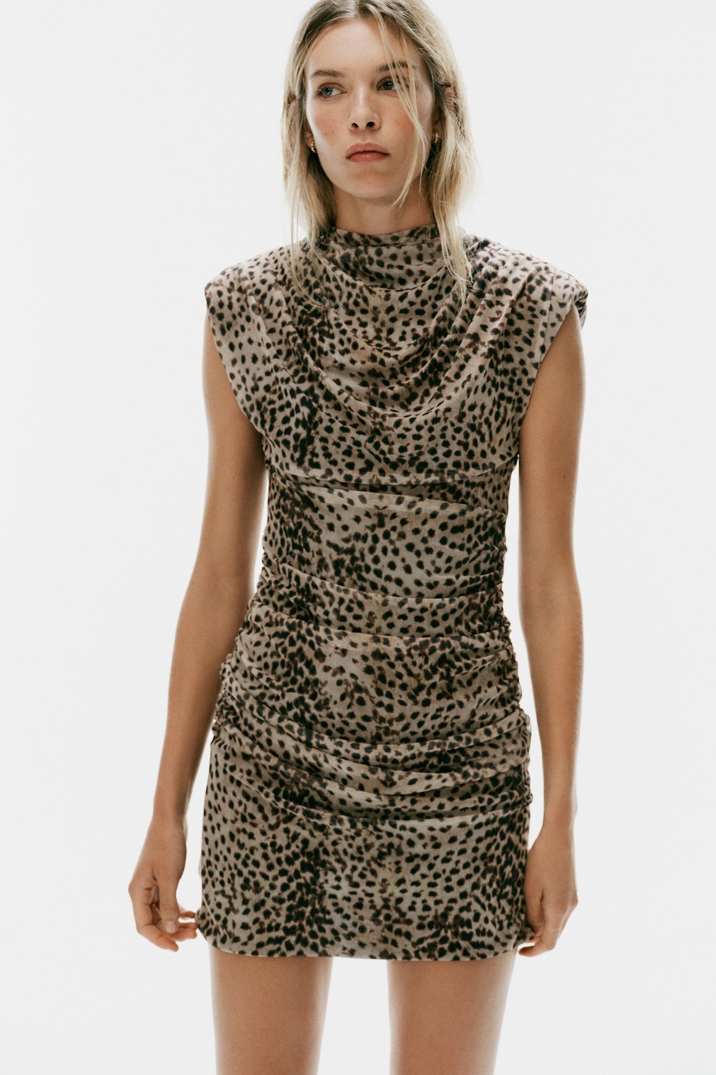 #130702, Leopard