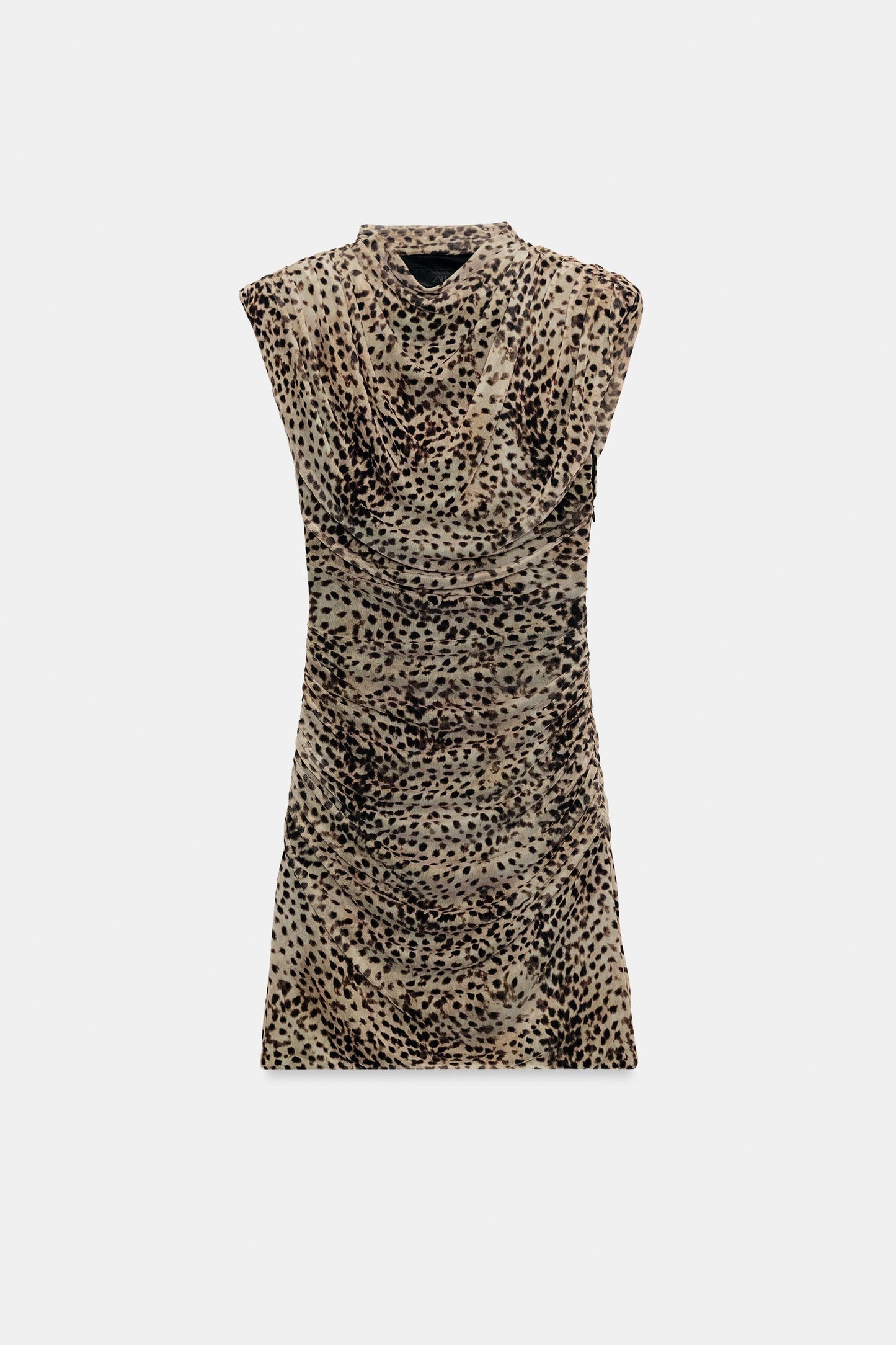 #130702, Leopard