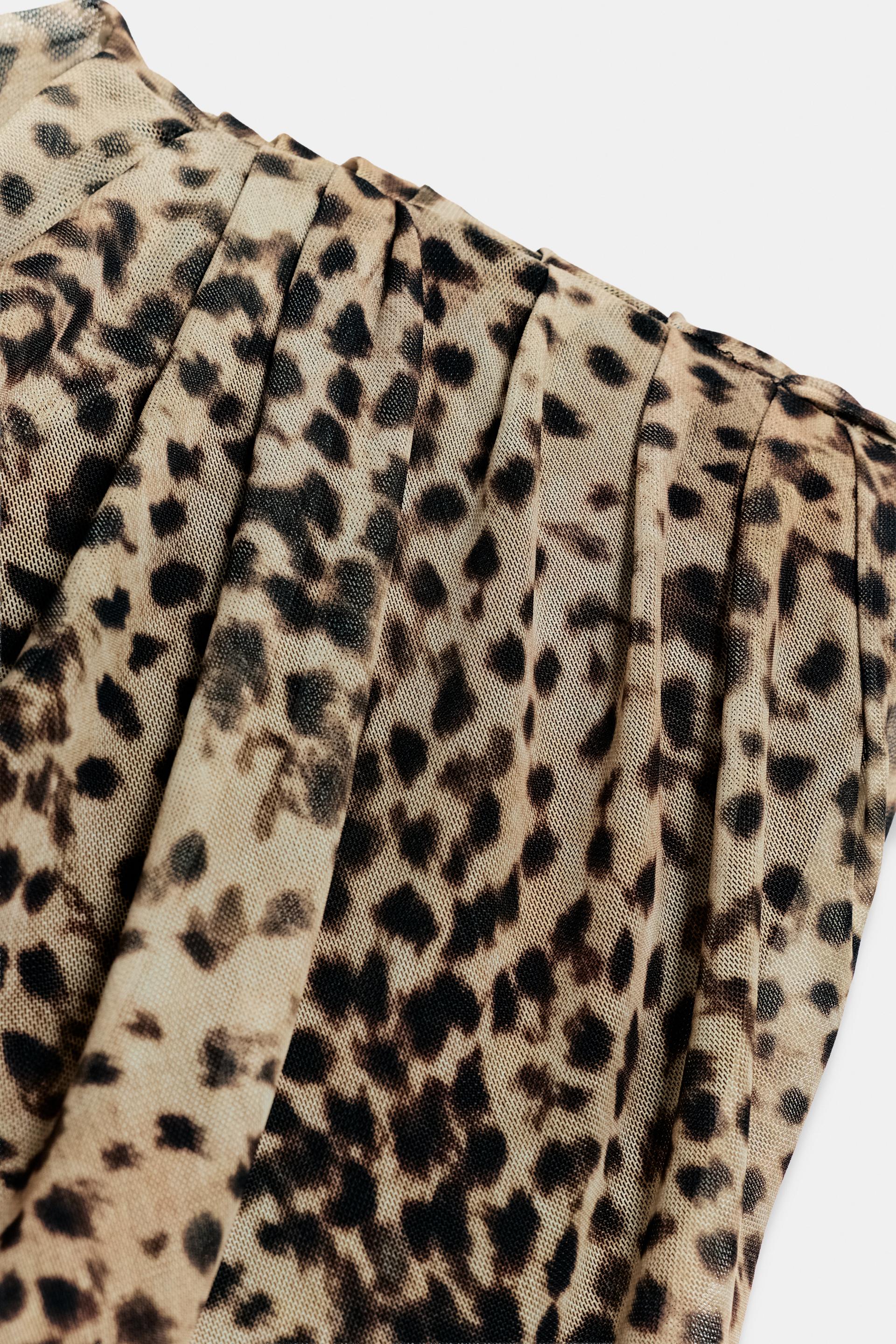 #130702, Leopard
