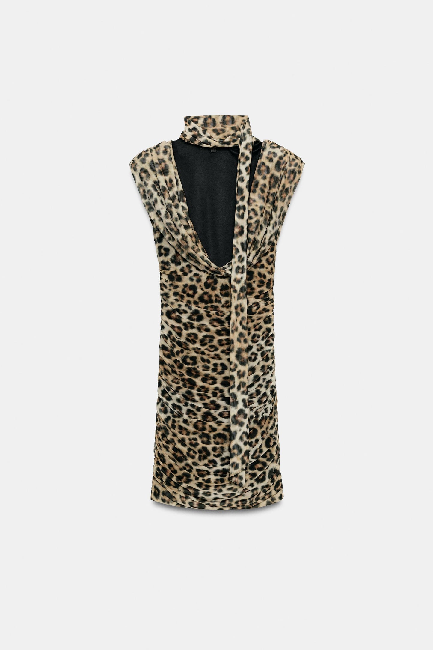 #080B02, Leopard