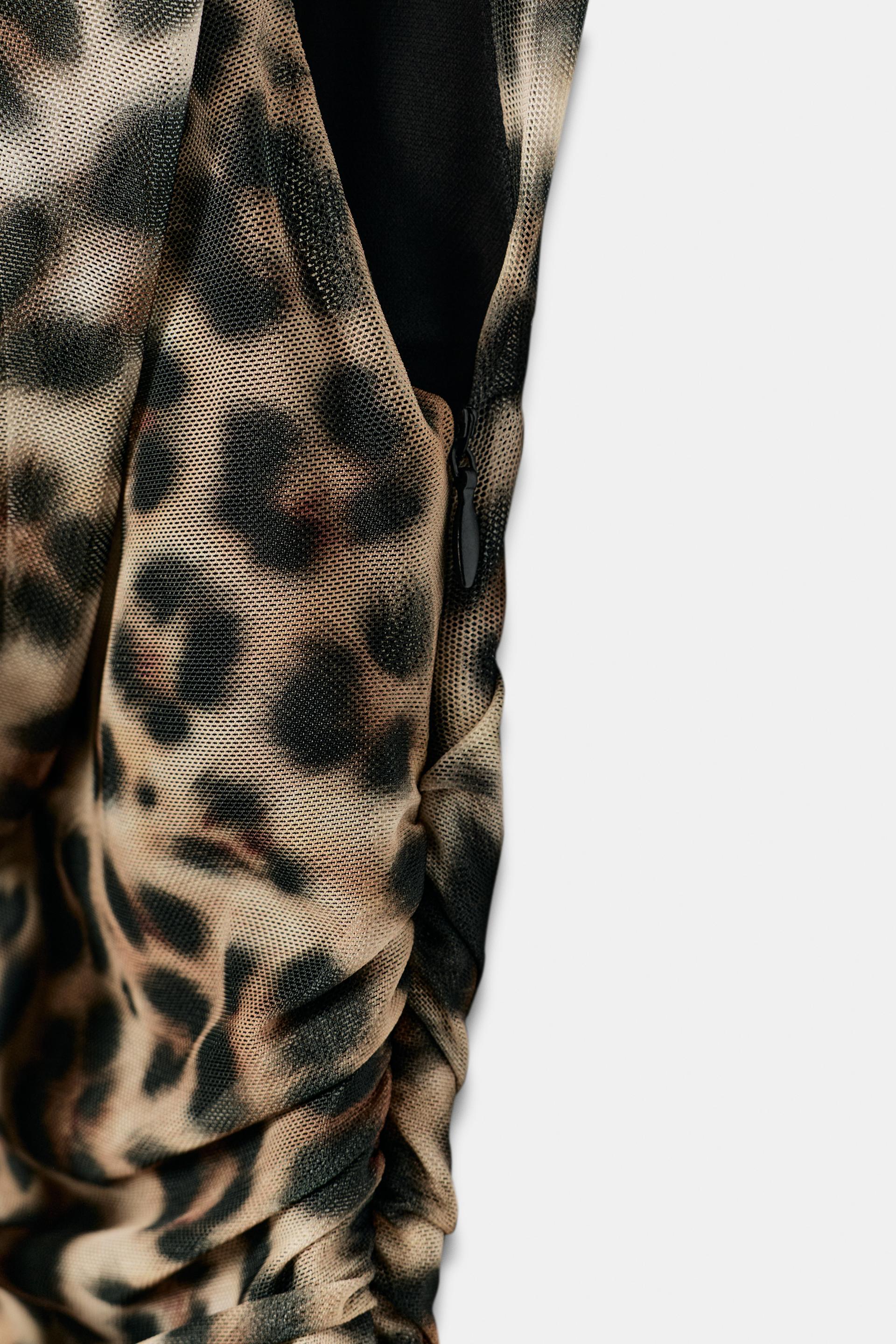 #080B02, Leopard
